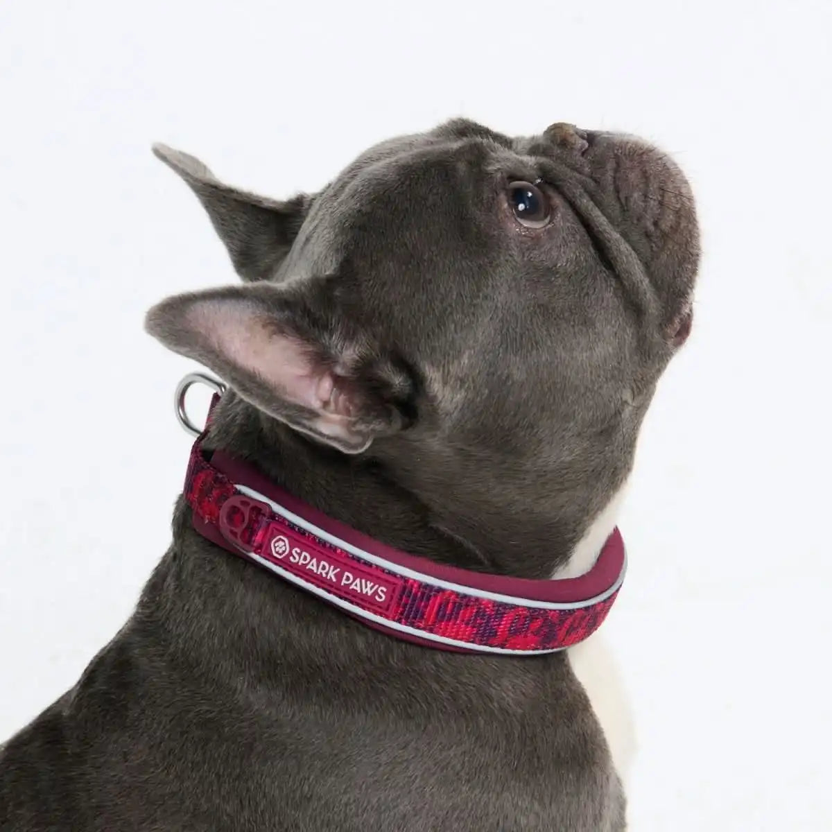 Cushioned Martingale Collar - Fuchsia Camo