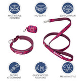 Martingale Collar Sets