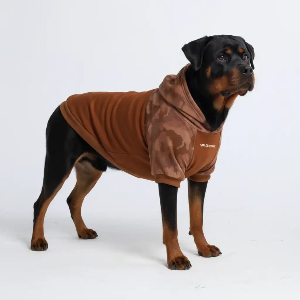 Desert Camo Dog Hoodie