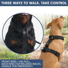 Comfort Control No-Pull Dog Harness and Multipurpose Leash Set - Black
