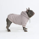 Essential Dog Hoodie - Clay