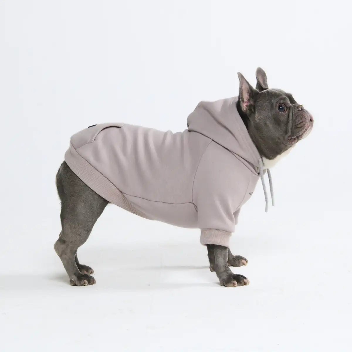 Essential Dog Hoodie - Clay