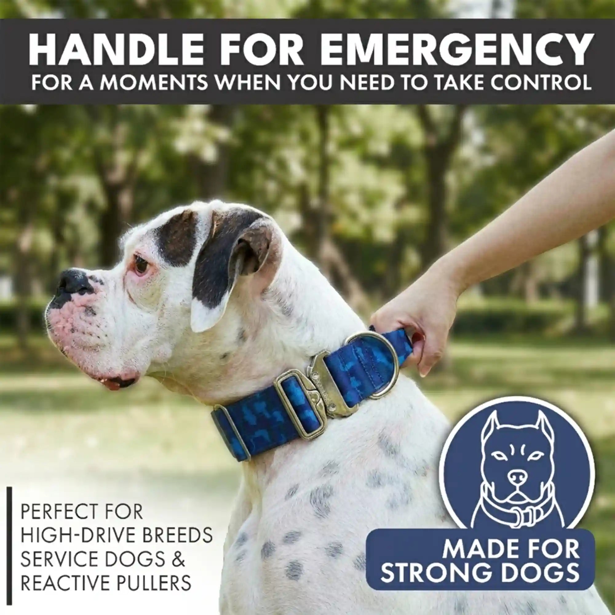 Comfort Control Collar Set - Blue Camo