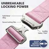 Comfort Control Dog Collar Sets
