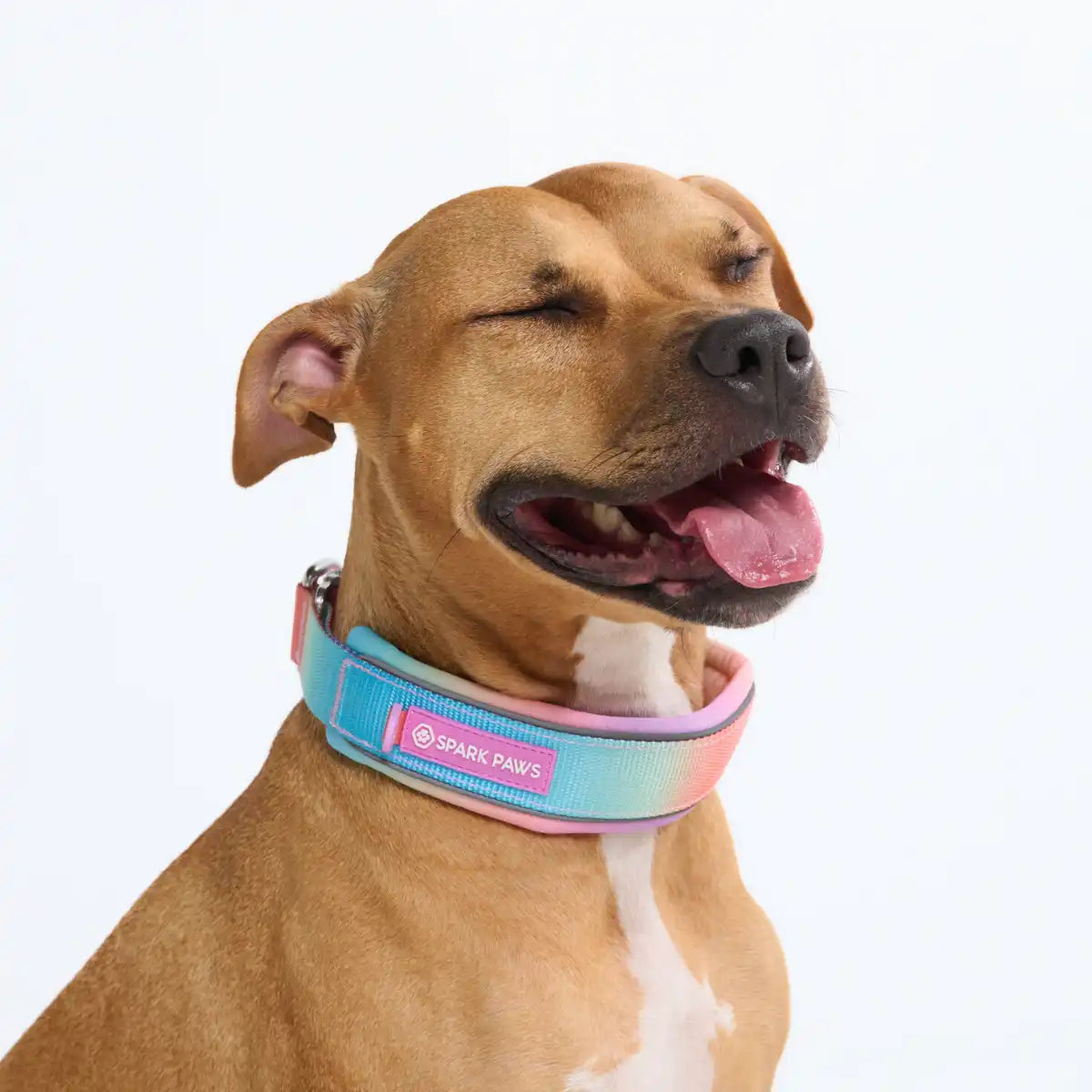 Cushioned Martingale Collar - Pastel Icing