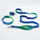 Martingale Collar and Multipurpose Leash Set - Lime Wave