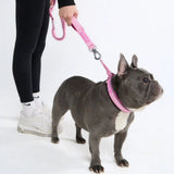 Cushioned Martingale Collar - Pink