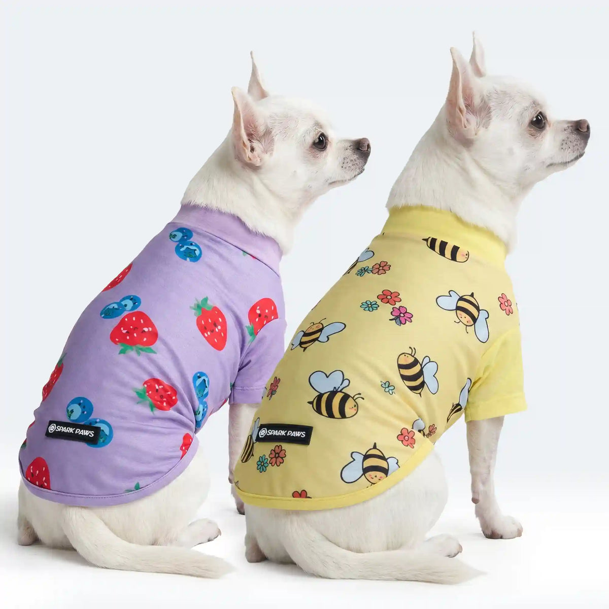 Sunblock Dog T-Shirt (2-pack) - Bees Berries