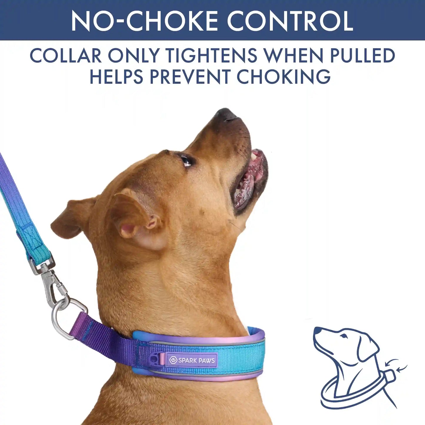 Martingale Collar Sets