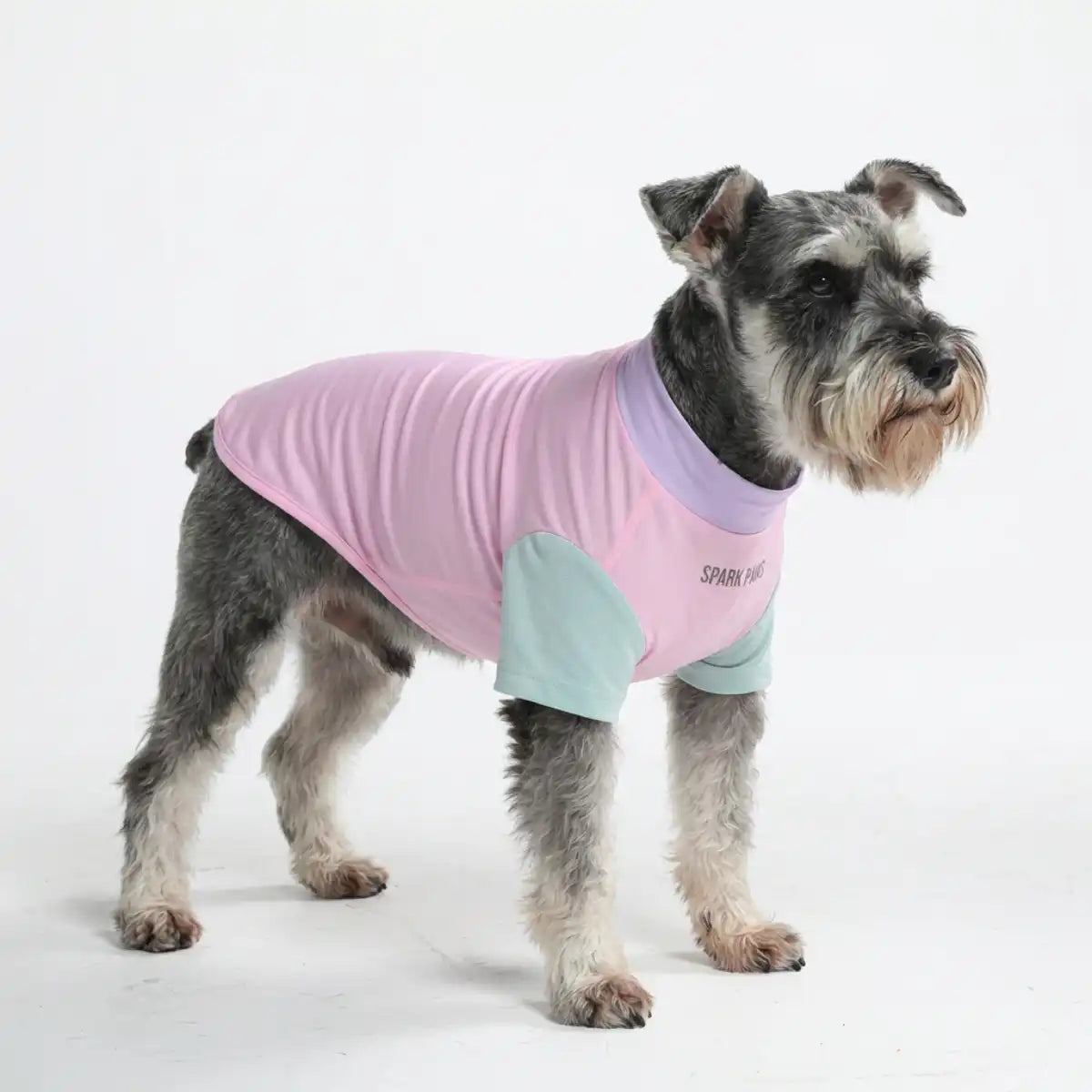 Sunblock Dog T-Shirt - Gelato