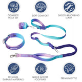 Martingale Collar and Multipurpose Leash Sets