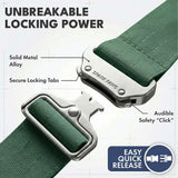 Comfort Control Dog Collar Sets