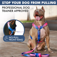 Comfort Control No-Pull Dog Harness Set - Snow Cone