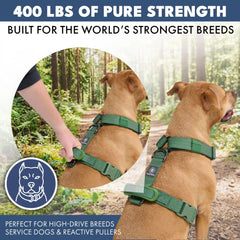 Comfort Control No-Pull Dog Harness - Green