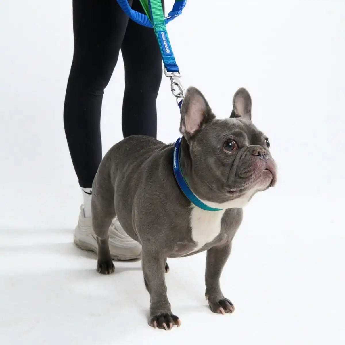 Cushioned Martingale Collar - Lime Wave