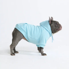 Essential Dog Hoodie - Baby Blue