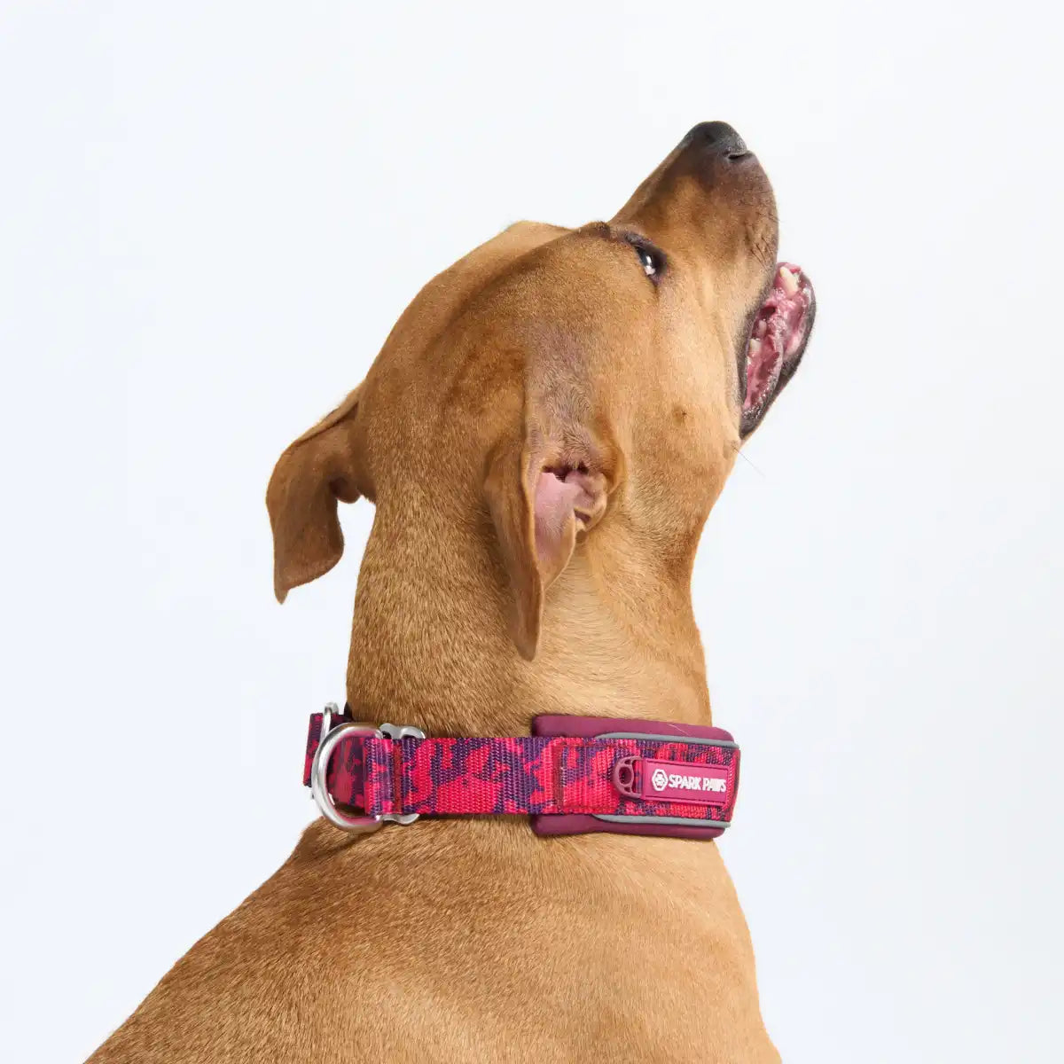 Cushioned Martingale Collar - Fuchsia Camo