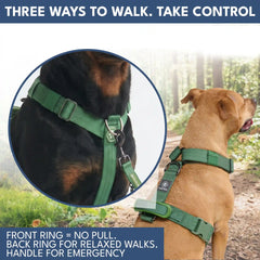 Comfort Control No-Pull Dog Harness and Multipurpose Leash Set - Green