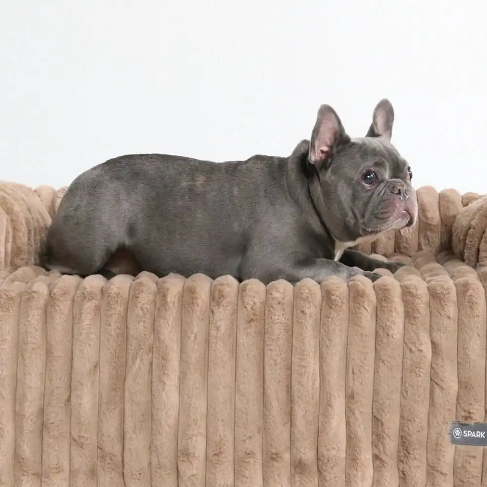 Luxury Couch Cover Dog Beds