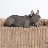 Luxury Couch Cover Dog Beds