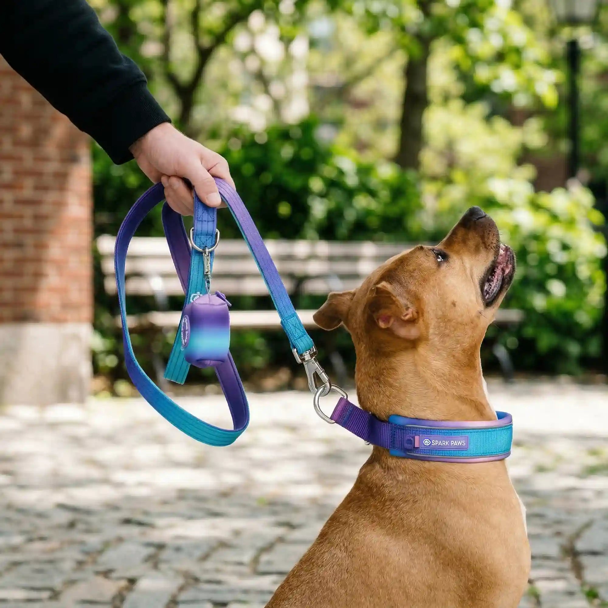 Martingale Collar Sets
