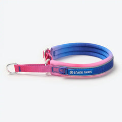Cushioned Martingale Collar - Snow Cone