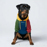 Primary Color Block Dog Hoodie