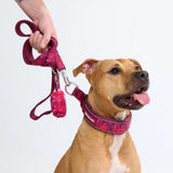 Cushioned Martingale Collar - Fuchsia Camo