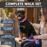 Comfort Control Collar and Multipurpose Leash Set - Snow Cone