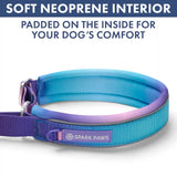 Martingale Collar and Multipurpose Leash Sets