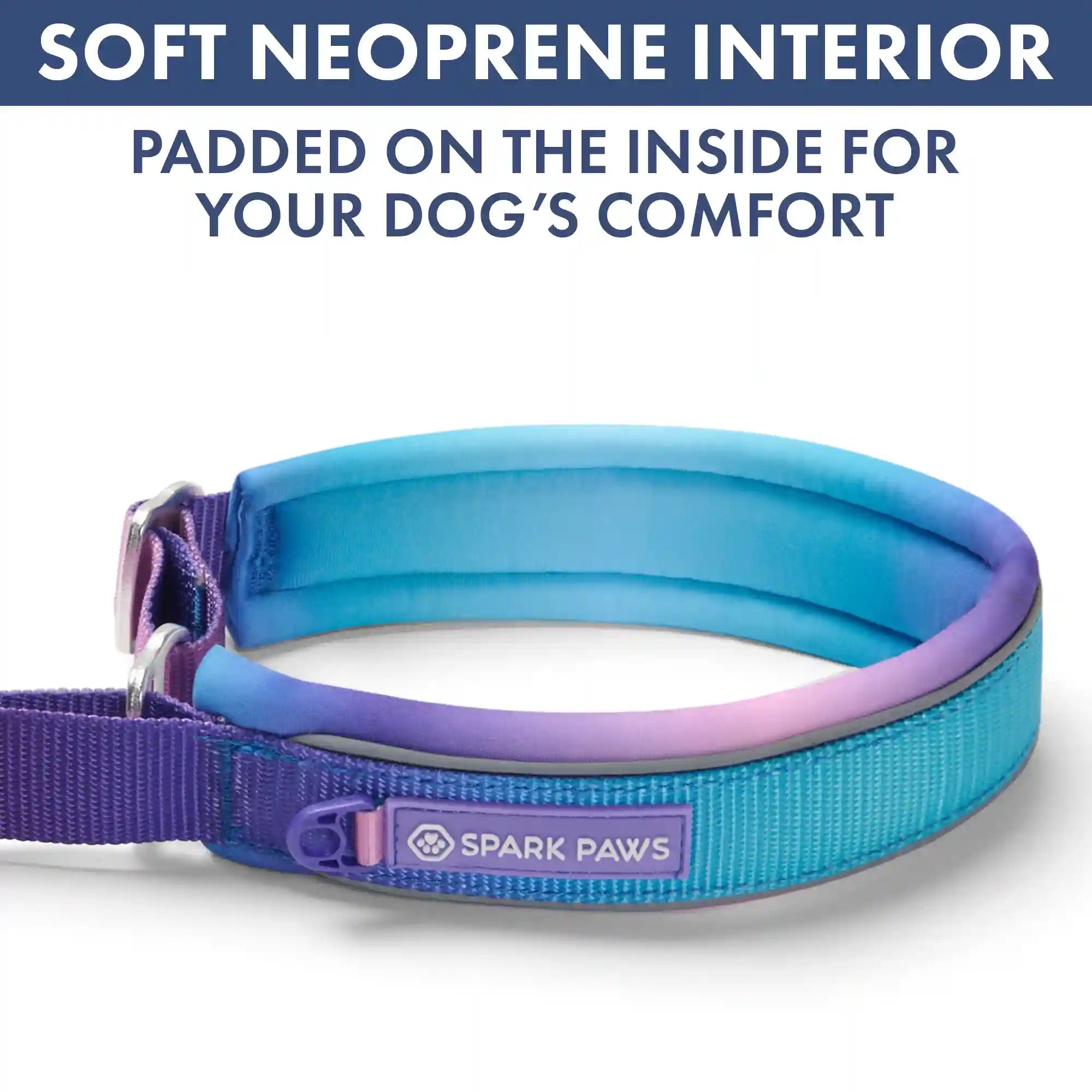 Martingale Collar and Multipurpose Leash Sets