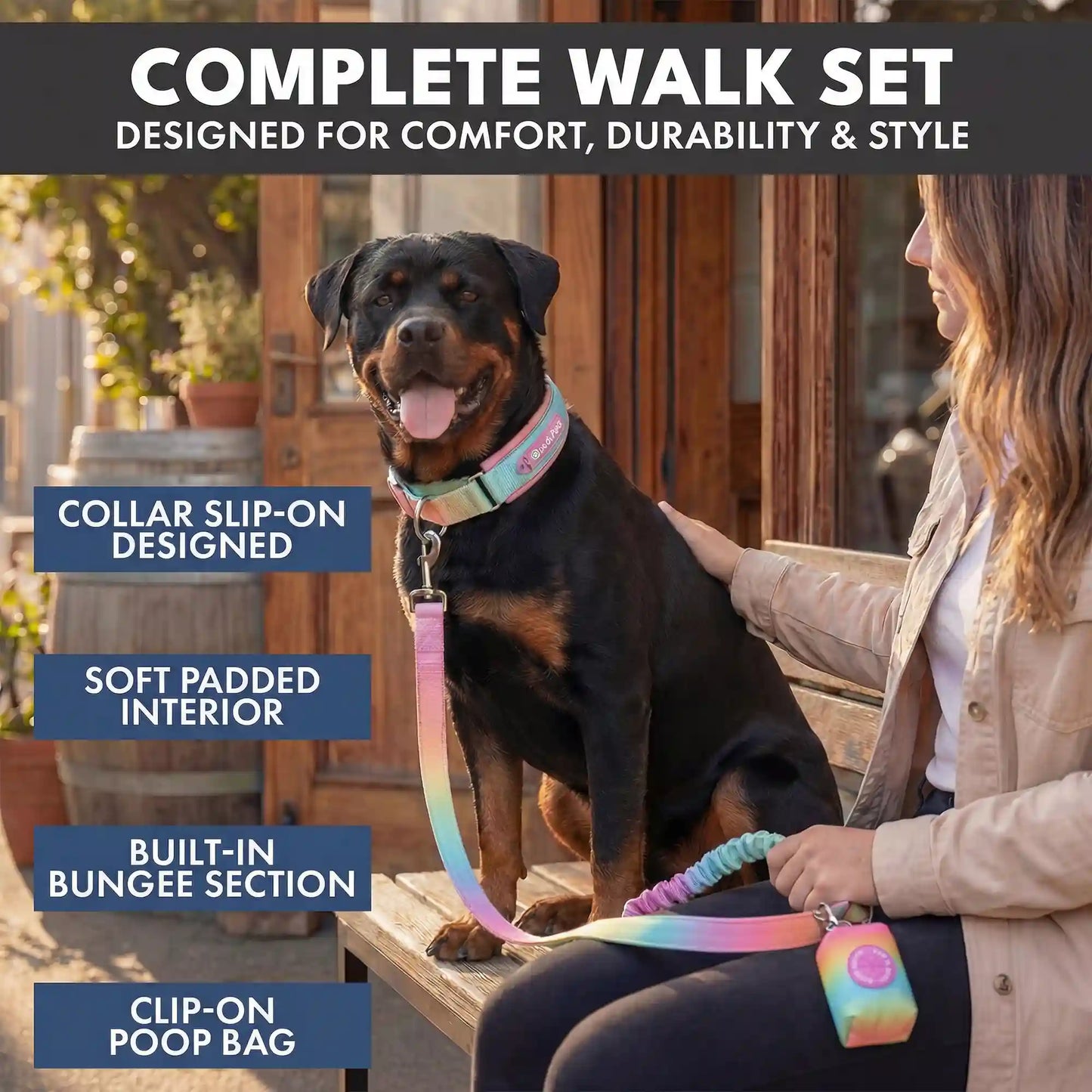 Martingale Collar and Multipurpose Leash Set - Pastel Icing