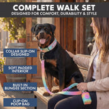 Martingale Collar and Multipurpose Leash Set - Pastel Icing