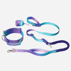 Comfort Control Collar and Multipurpose Leash Set - 90s Retro