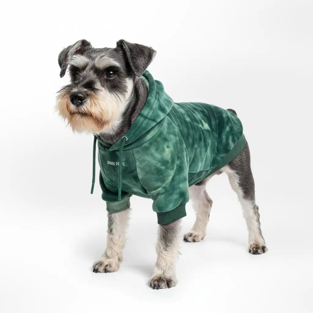 Velvet Dog Hoodie - Emerald Green