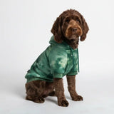 Velvet Dog Hoodie - Emerald Green