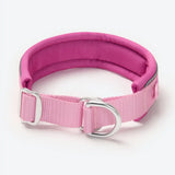 Cushioned Martingale Collar - Pink