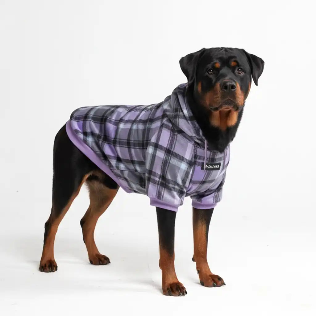 Purple Plaid Dog Hoodie