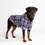 Purple Plaid Dog Hoodie