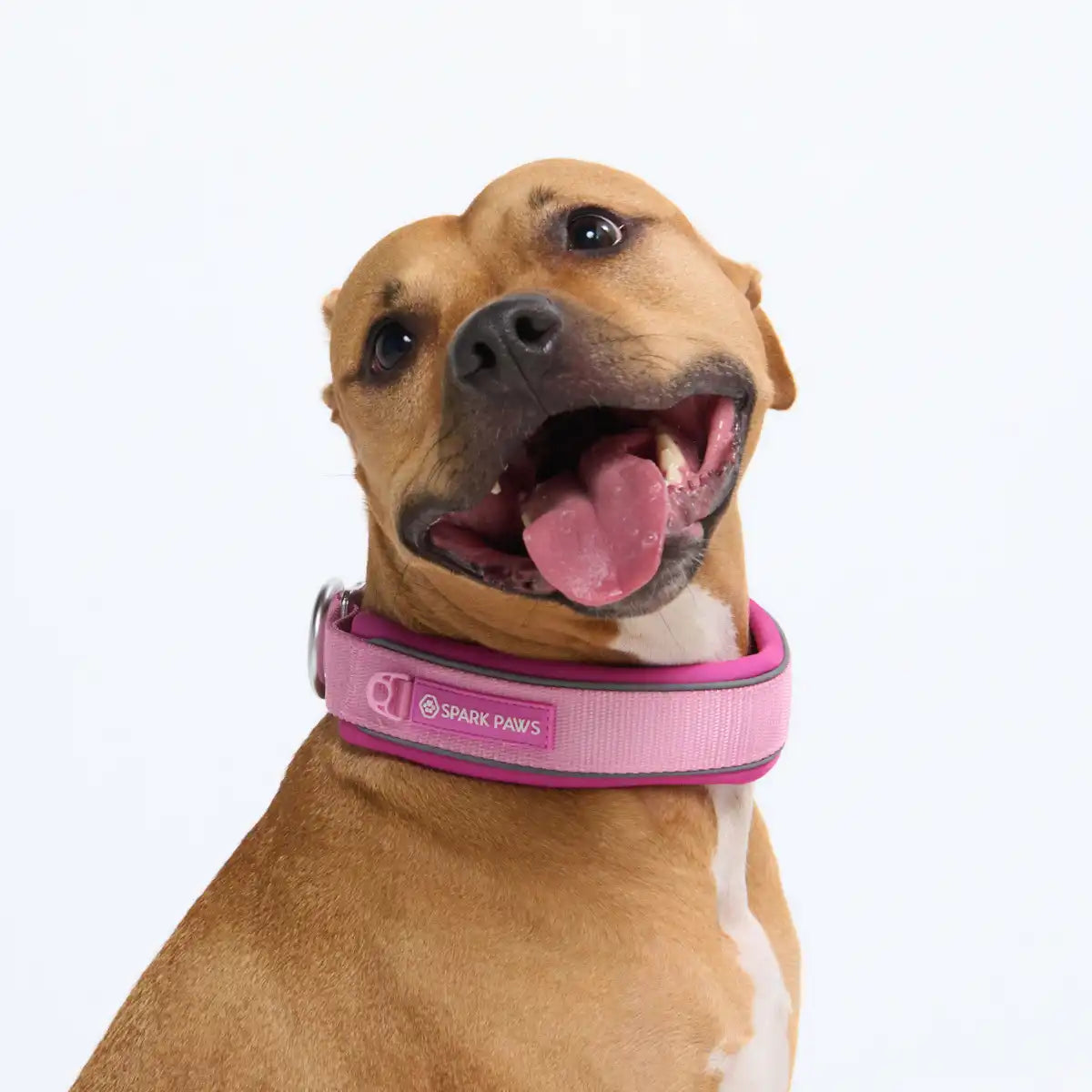 Cushioned Martingale Collar - Pink