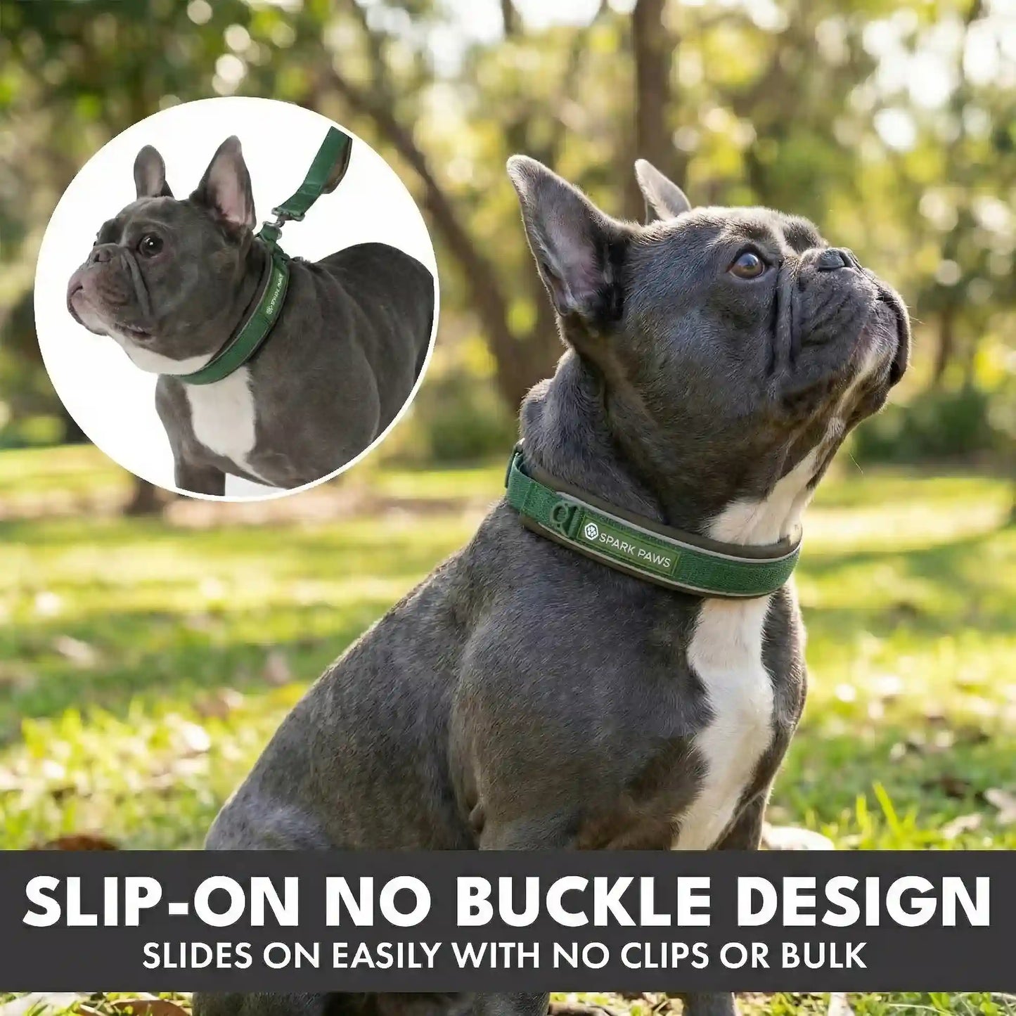 Martingale Collar and Multipurpose Leash Sets