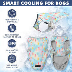 Dog Cooling Vest (2-pack) - Cherries & Popsicles