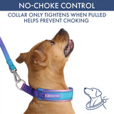 Martingale Collar and Multipurpose Leash Sets