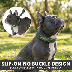 Martingale Collar Set - Army Green