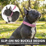 Martingale Collar Sets