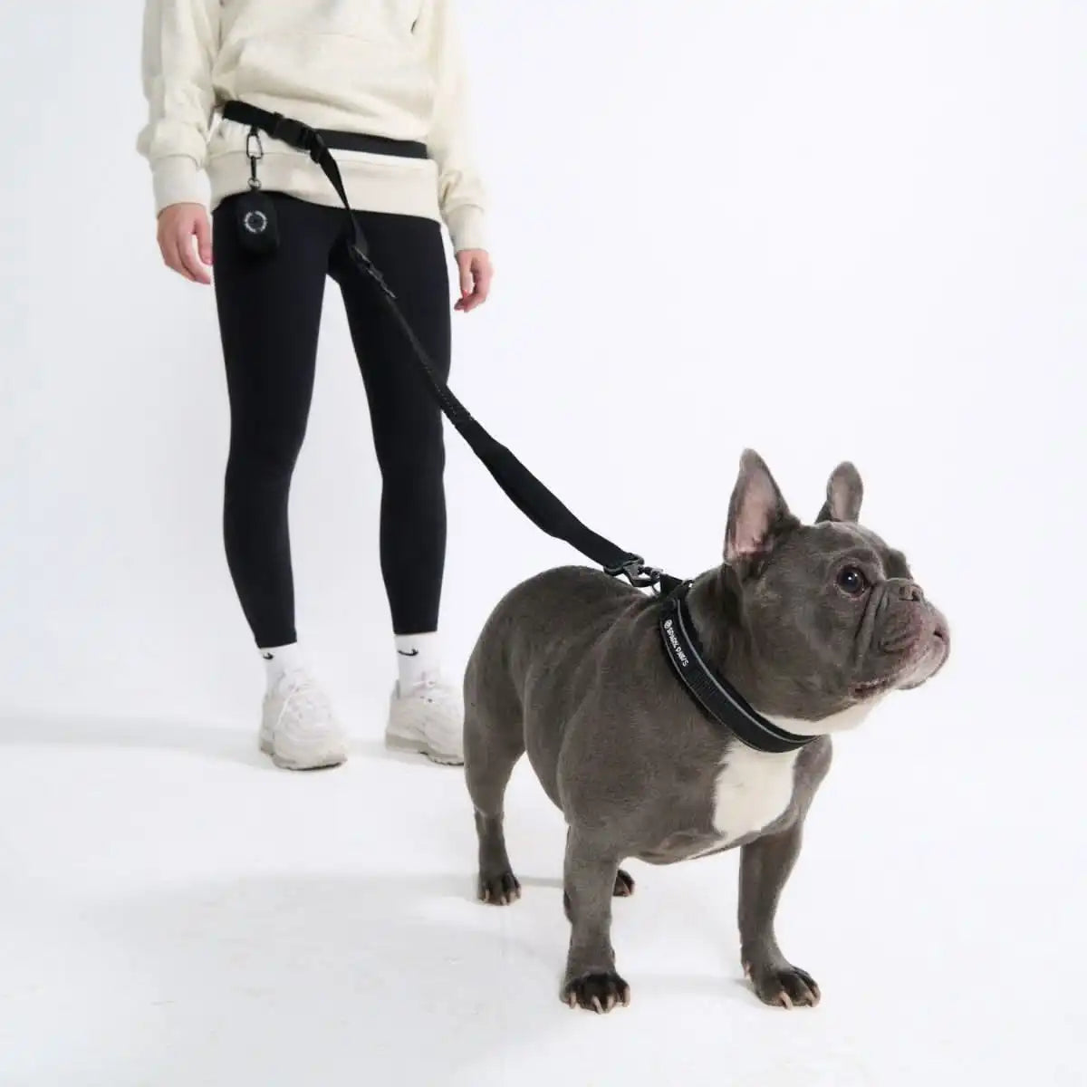 Multipurpose Seatbelt Handsfree Leash & Poop Bag Holder Set - Black