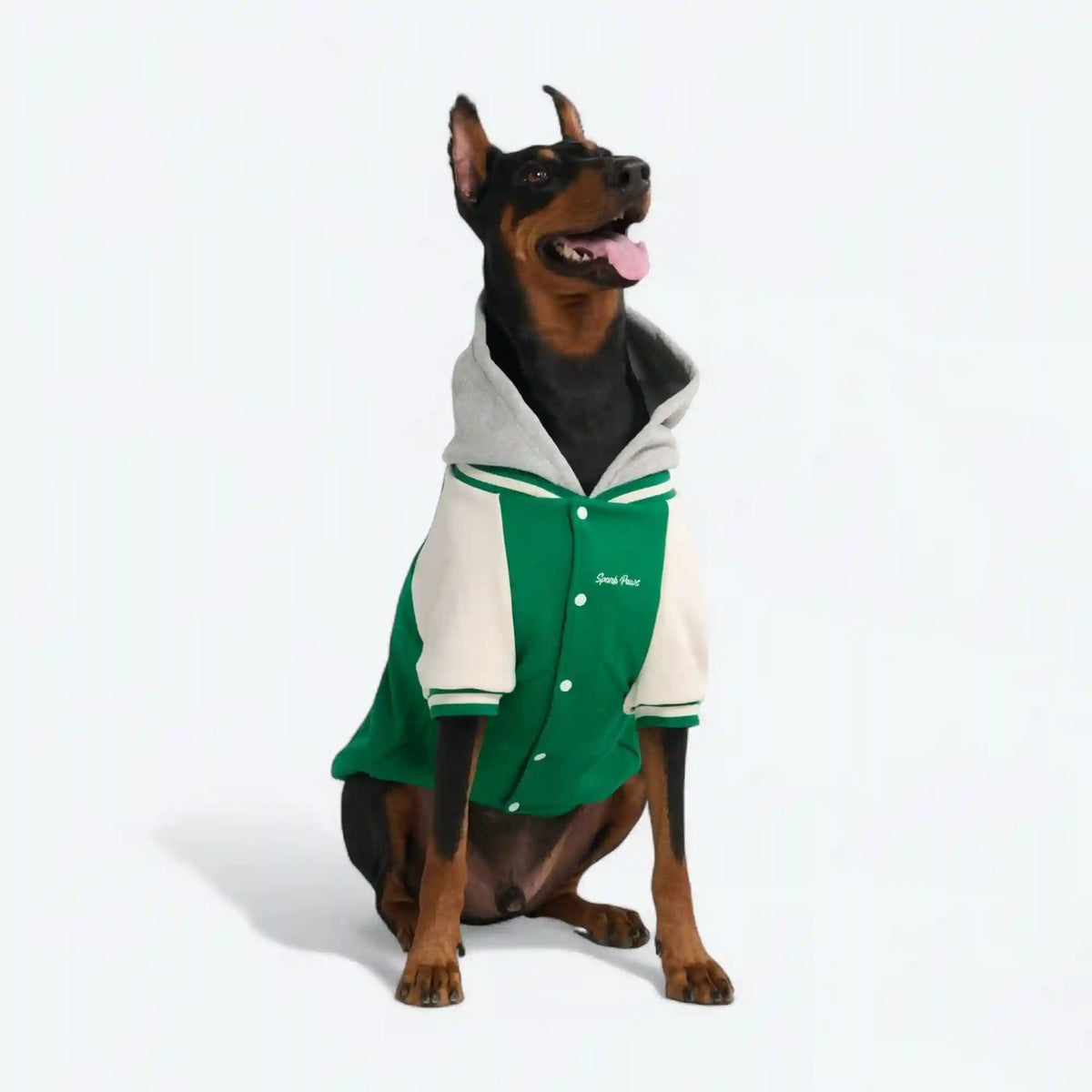 Dog Varsity Jacket - Green
