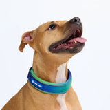 Cushioned Martingale Collar - Lime Wave