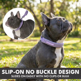 Martingale Collar Sets