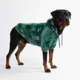 Velvet Dog Hoodie - Emerald Green